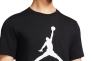 Футболка Nike M J JUMPMAN SS CREW CJ0921-011 Фото 6