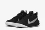 Кроссовки Nike TEAM HUSTLE D 10 (GS) CW6735-004 Фото 2