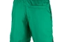 Шорти Jordan M J JUMPMAN POOLSIDE SHORT CZ4751-372 Фото 2