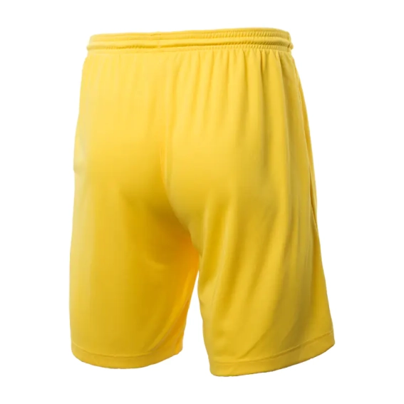 Шорты Nike M NK DRY PARK III SHORT NB K BV6855-719 фото 3 — интернет-магазин Tapok