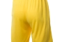 Шорты Nike M NK DRY PARK III SHORT NB K BV6855-719 Фото 3