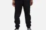 Брюки мужские Jordan Essential Fleece Pant (DQ7340-010) Фото 3