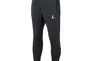 Штани JORDAN M J DF SPRT CSVR FLC PANT DQ7332-010 Фото 1
