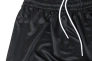 Шорты JORDAN MJ BSK PRACTICE SHORT TM AR4315-010 Фото 6