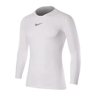 Кофта Nike PARK FIRST LAYER Long Sleeve AV2609-100
