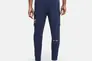 Чоловічі штани NIKE M NSW PANT CARGO AIR PRNT PACK DD9696-410 Фото 2