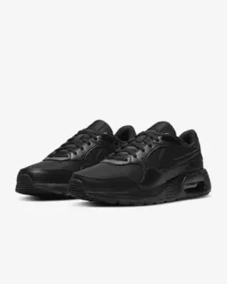 Кросівки чоловічі Nike Air Max Sc (CW4555-003)