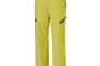 Штани Ski Rehall Hirsch 2020 Mustard Фото 1