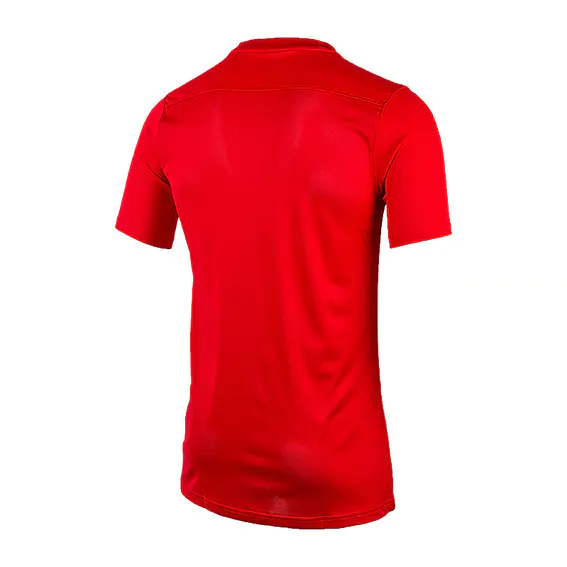 Футболка Nike M DF PARK VII JSY SS BV6708-657 фото 2 — интернет-магазин Tapok