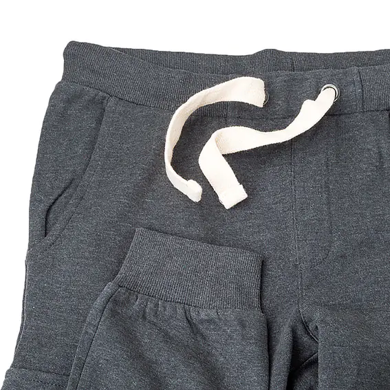 Брюки JEEP CARGO SWEATPANTS J22W O102579-G557 фото 3 — интернет-магазин Tapok