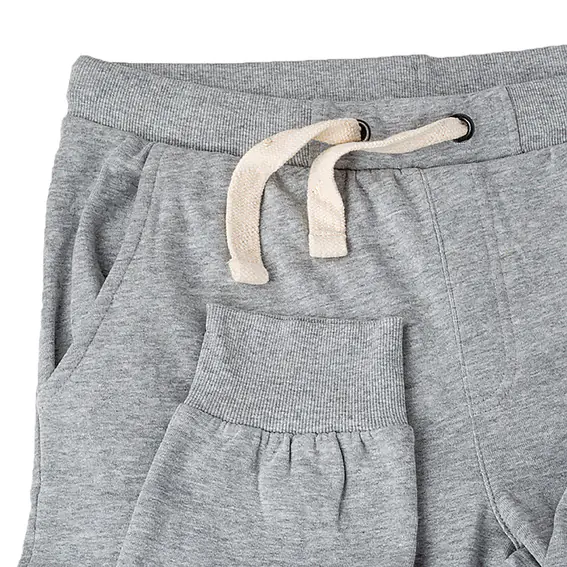 Брюки JEEP CARGO SWEATPANTS J22W O102579-G347 фото 3 — интернет-магазин Tapok