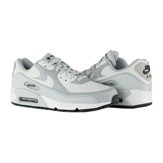 Кросівки Nike AIR MAX 90 GTX DJ9779-003 фото 1 — інтернет-магазин Tapok