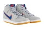 Кросівки Nike SB DUNK HIGH PRM DH7155-001 Фото 5