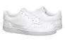 Кроссовки мужские Nike Court Vision Lo Nn (DH2987-100) Фото 1