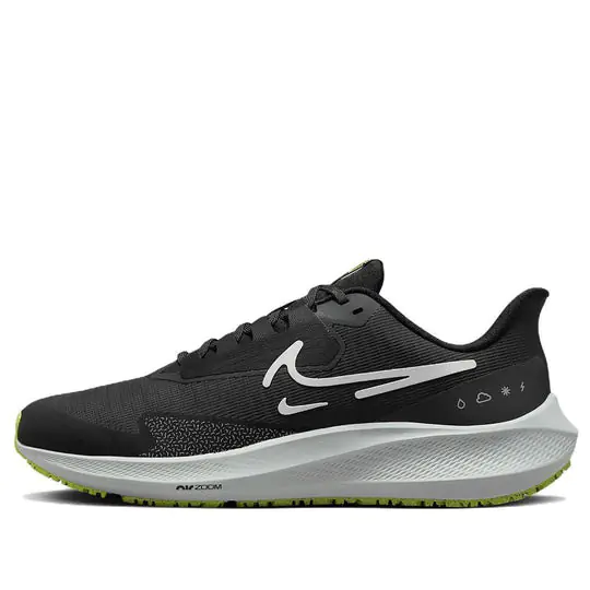Кроссовки мужские Nike Air Zoom Pegasus 39 (DO7625-002) фото 1 — интернет-магазин Tapok