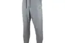 Штани JORDAN FLC PANT DQ7340-091 Фото 1