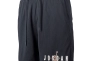 Шорты JORDAN MJ ESS MESH GFX SHORT DV7652-010 Фото 2