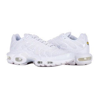 Кроссовки Nike AIR MAX PLUS DM2362-100