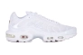 Кроссовки Nike AIR MAX PLUS DM2362-100 Фото 2