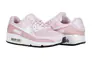 Кроссовки Nike AIR MAX 90 DH8010-600 Фото 1