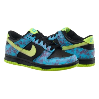 Кроссовки Nike DUNK LOW SE 2 (GS) DV1694-900