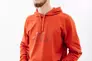 Толстовка HELLY HANSEN NORD GRAPHIC PULL OVER HOODIE 62975-308 Фото 1