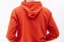 Толстовка HELLY HANSEN NORD GRAPHIC PULL OVER HOODIE 62975-308 Фото 2