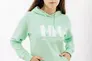 Толстовка HELLY HANSEN W HH LOGO HOODIE 33978-419 Фото 1