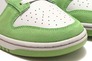 Кроссовки мужские Nike Dunk Low (DR0156-300) Фото 8