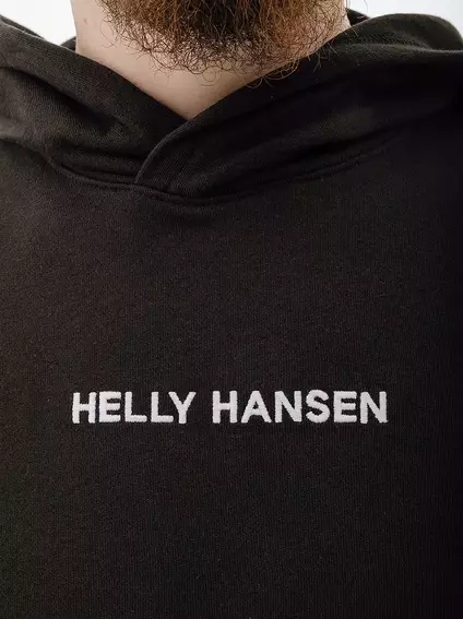Толстовка HELLY HANSEN CORE GRAPHIC SWEAT HOODIE 53924-992 фото 3 — интернет-магазин Tapok