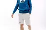 Толстовка HELLY HANSEN NORD GRAPHIC PULL OVER HOODIE 62975-606 Фото 5