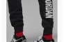 Брюки JORDAN FLC PANT 2 DV7596-010 Фото 2
