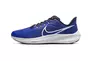 Чоловічі кросівки NIKE AIR ZOOM PEGASUS 39 DH4071-400 Фото 1