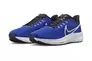 Мужские кроссовки NIKE AIR ZOOM PEGASUS 39 DH4071-400 Фото 2