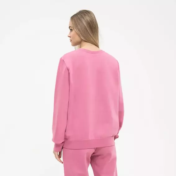 Жіноча кофта NIKE W NSW STRDST GX CREW DQ6774-667 фото 2 — інтернет-магазин Tapok