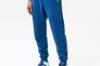 Чоловічі штани NIKE M J ESS FLC PANT DQ7340-493 Фото 1