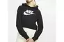 Кофта женская NIKE W NSW ESSN HOODIE CROP HBR NFS DR6225-010 Фото 1