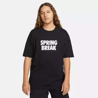 Мужская футболка NIKE M NK SB TEE SPRING BREAK DX9457-010