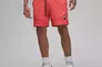 Мужские шорты JORDAN FLT MVP MESH SHORT F2 DX9722-814 Фото 1